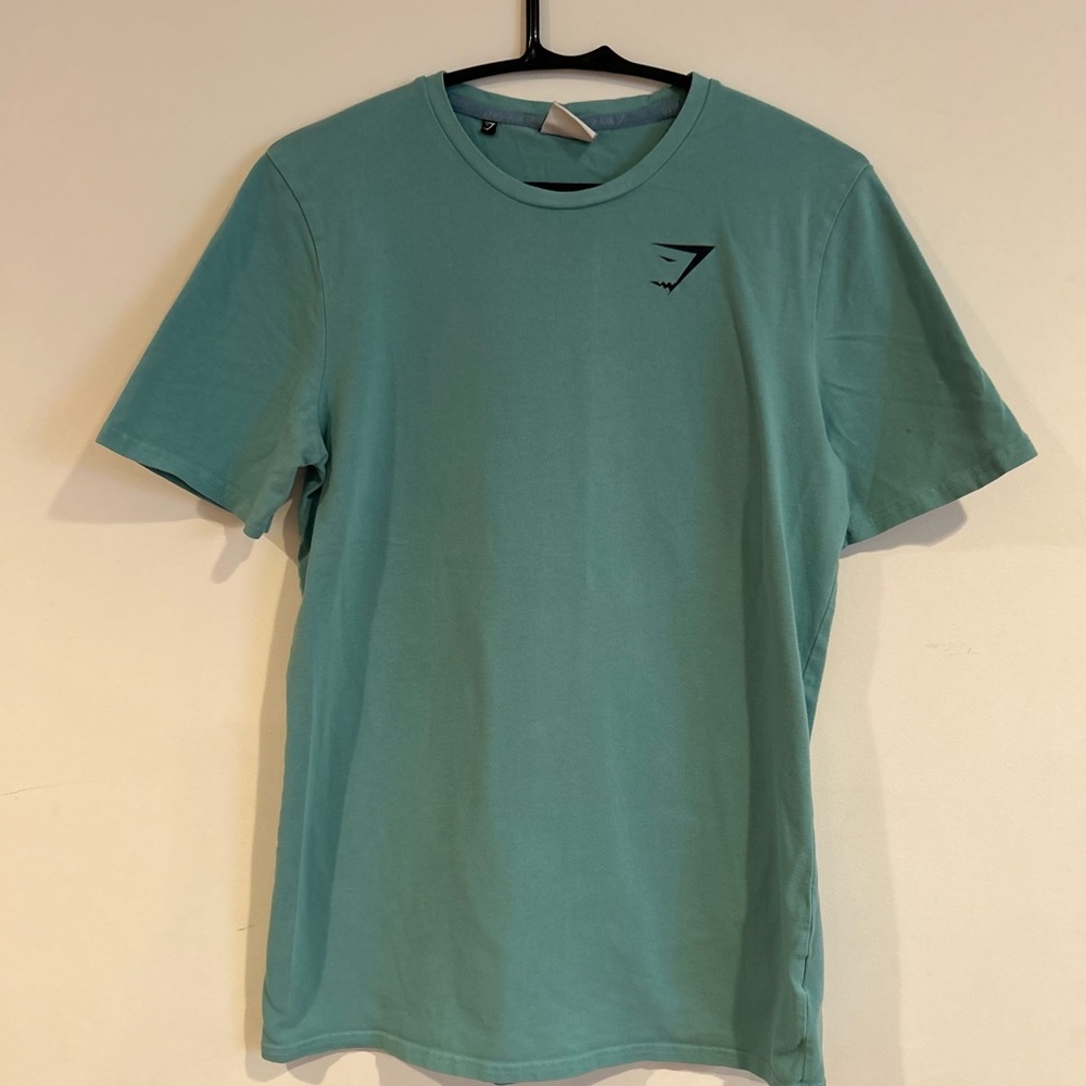 Men’s teal short sleeve cotton t-shirt regular fit